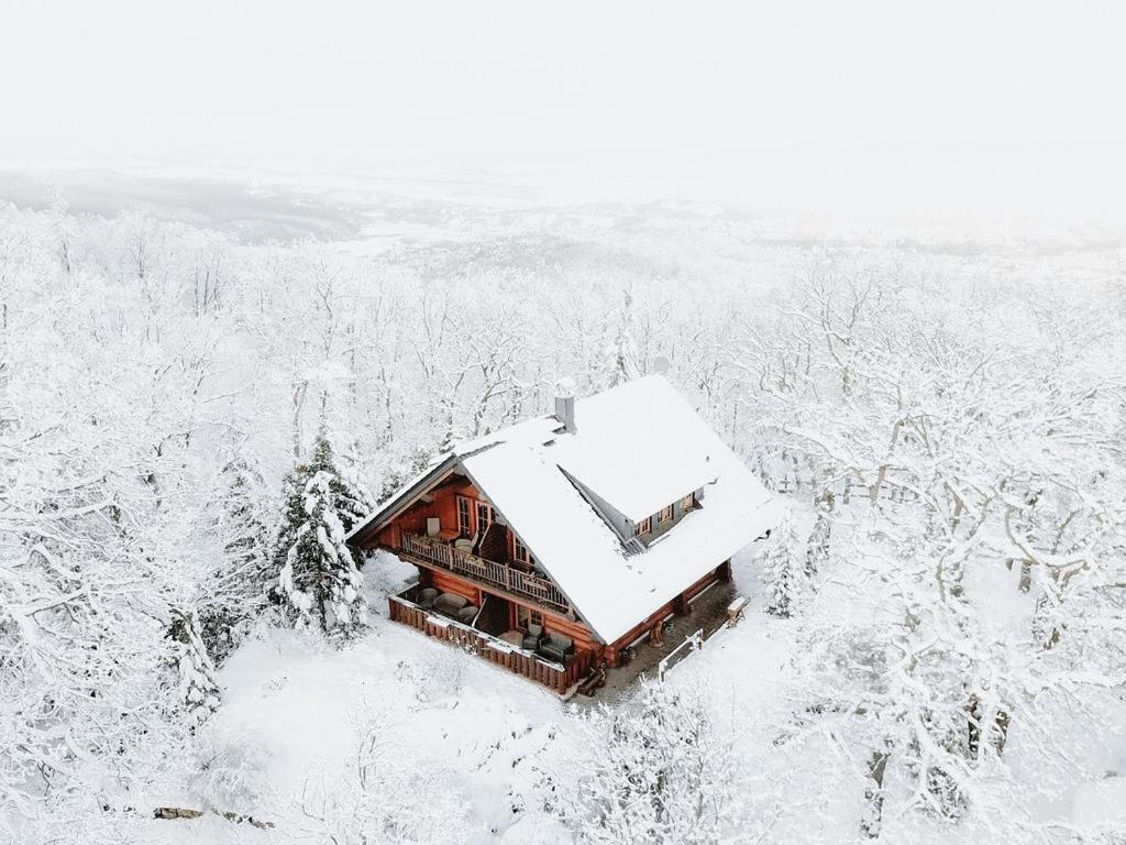 Naturtraum Georgshoehe Thale Exterior photo
