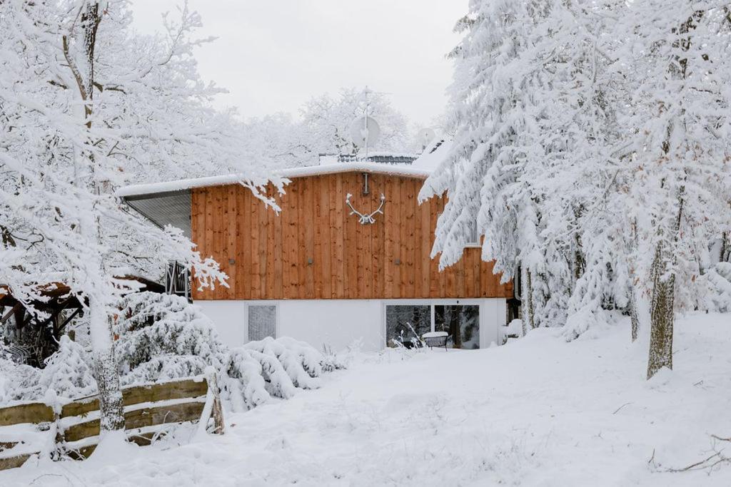 Naturtraum Georgshoehe Thale Exterior photo