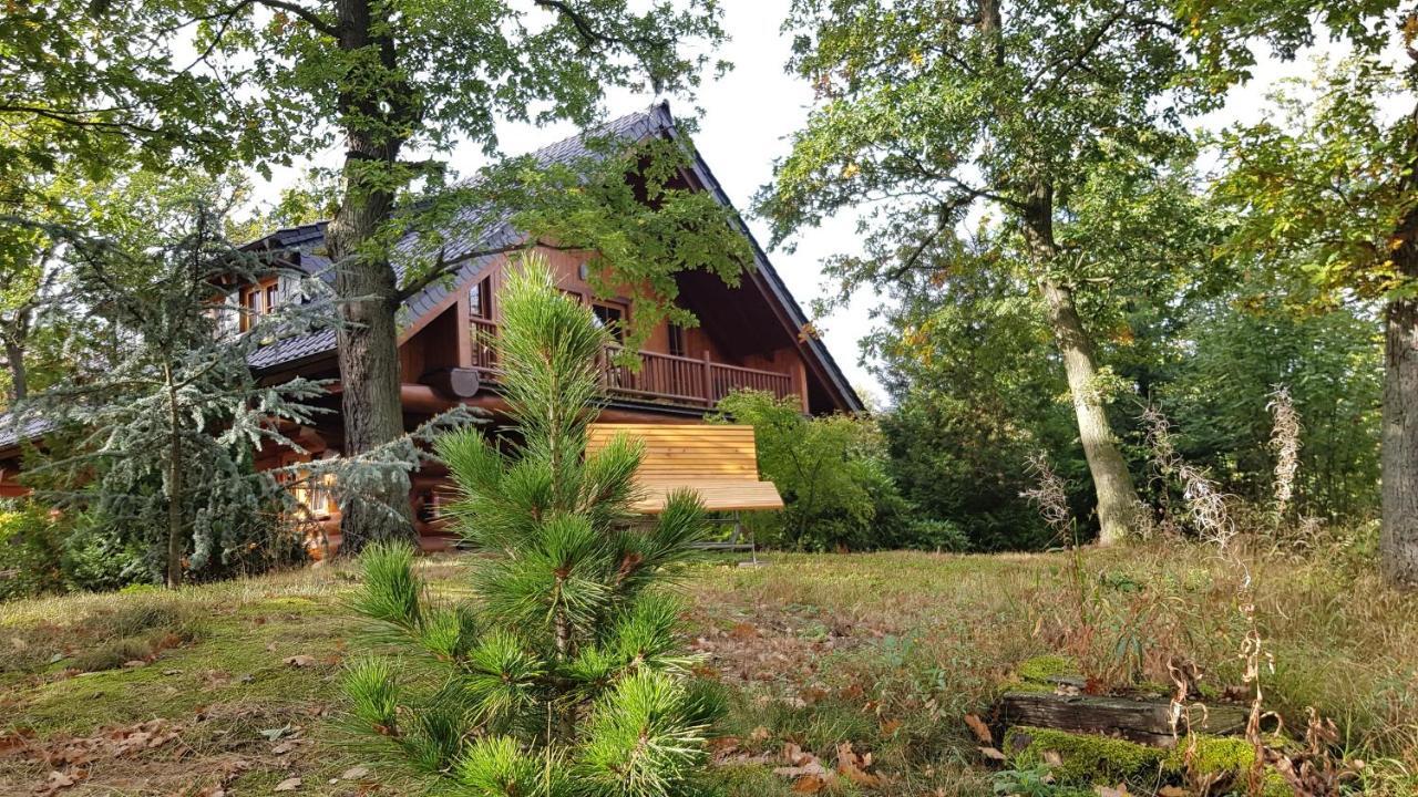 Naturtraum Georgshoehe Thale Exterior photo